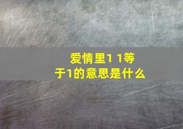 爱情里1 1等于1的意思是什么